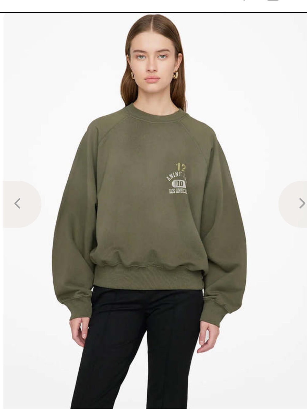 Anine Bing archer sweatshirt
Size small
Never worn
Color: tan/beige